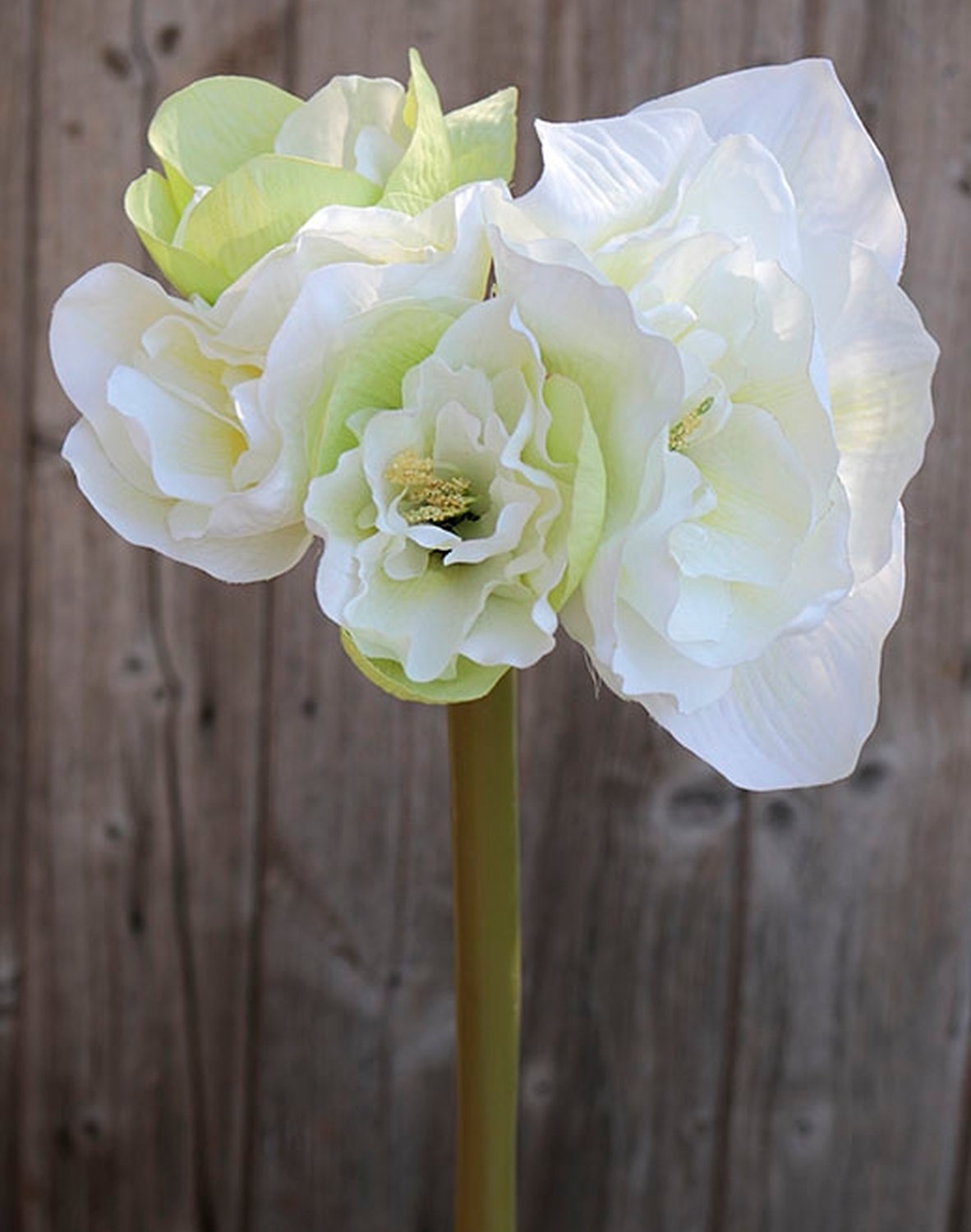 Künstliche Amaryllis, 4-fach, 80 cm, weiß-grün