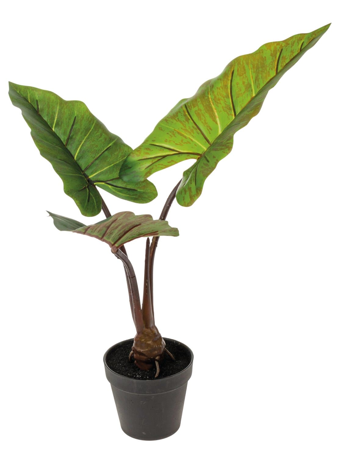 Kunst Tarobaum im Topf, 50 cm, grün