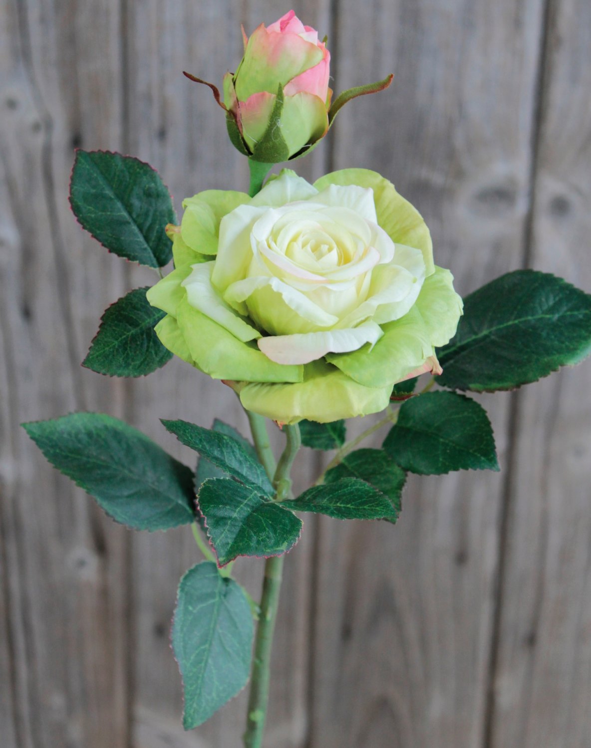 Silk rose, 1 flower, 1 bud, 37 cm, real touch soft, beige-green