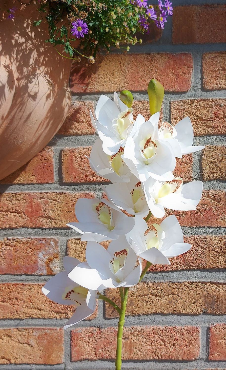 Kunstorchidee Cymbidium mit 10 Blüten, 74 cm, Ø 9 cm, Real Touch, creme-weiß