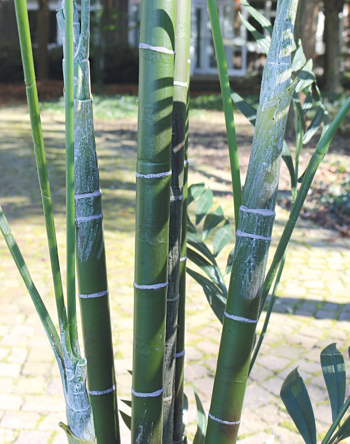 Künstliche Kentia-Palme, getopft, 210 cm, grün