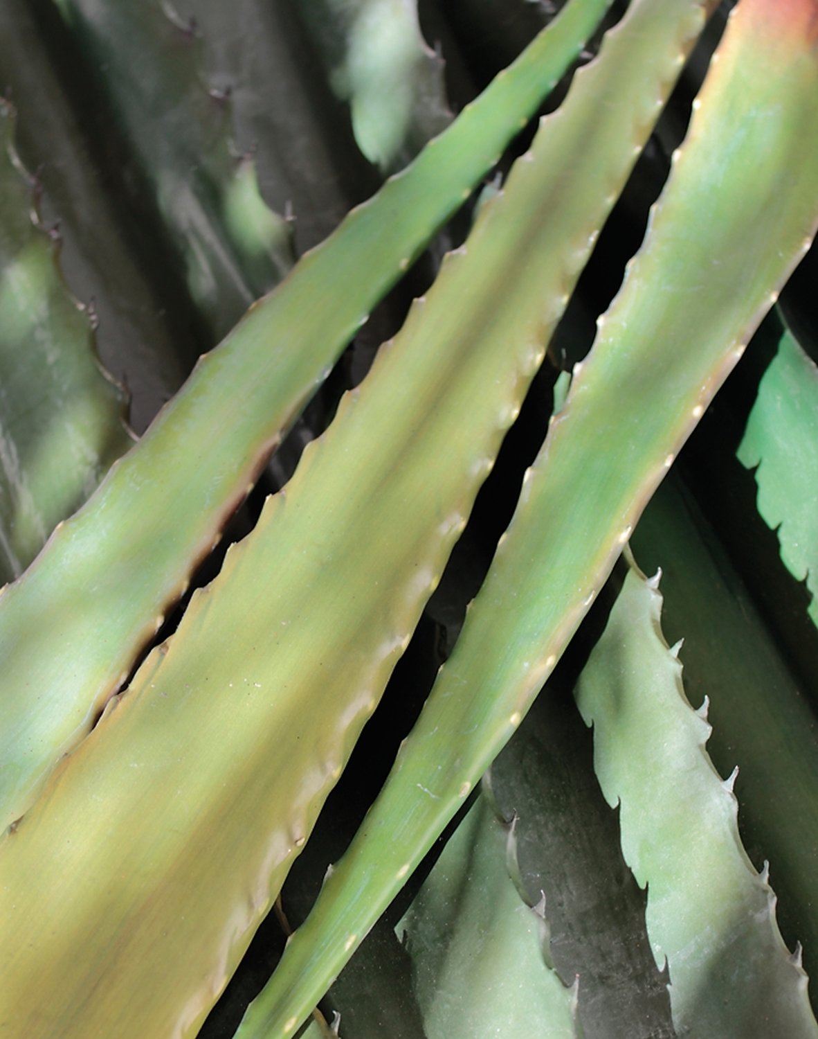 Künstliche Aloe Vera Blatt, 48 cm, grün