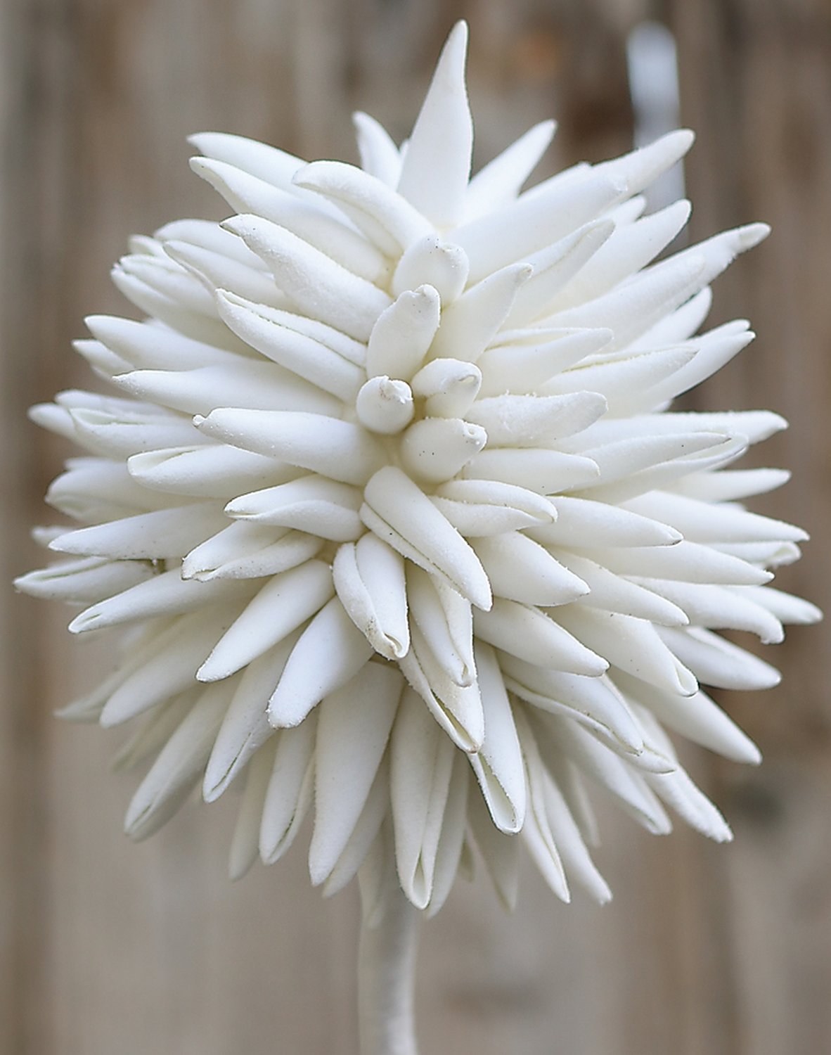 Fiore artificiale Soft 'Allium', 95 cm, bianco puro