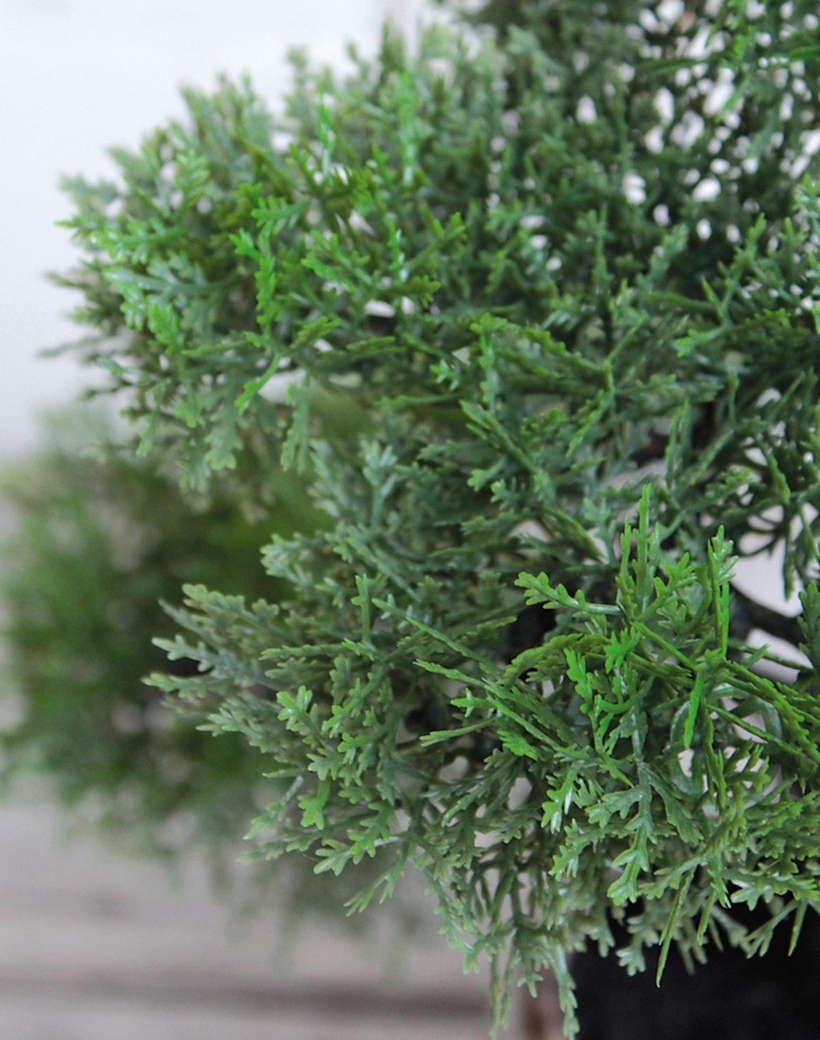 Künstliche Bonsai-Konifere in Keramiktopf, 36 cm, grün