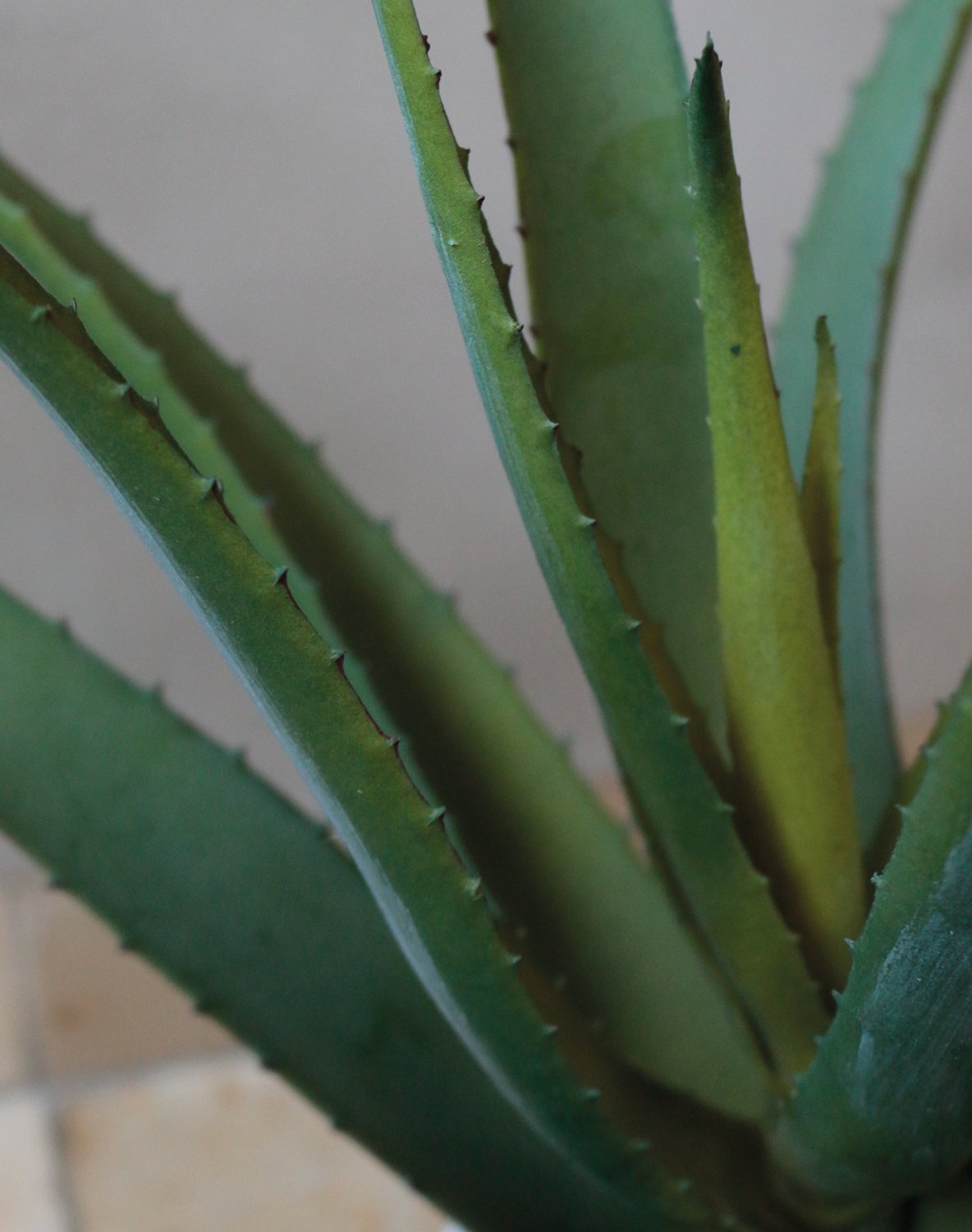 Fake aloe, potted, 43 cm, green