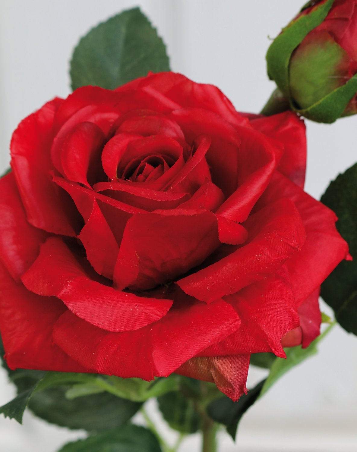 Silk rose, 1 flower, 1 bud, 37 cm, real touch soft, red