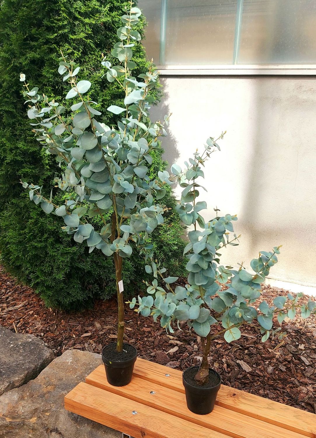 Deko Eukalyptus Busch im Topf, 90 cm, frost-grün