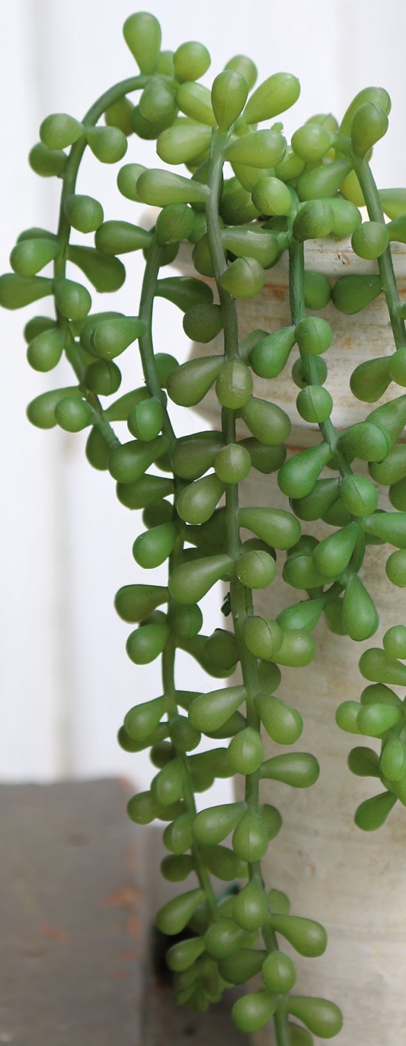 Künstliche Sukkulente, hängend, 40 cm, grün