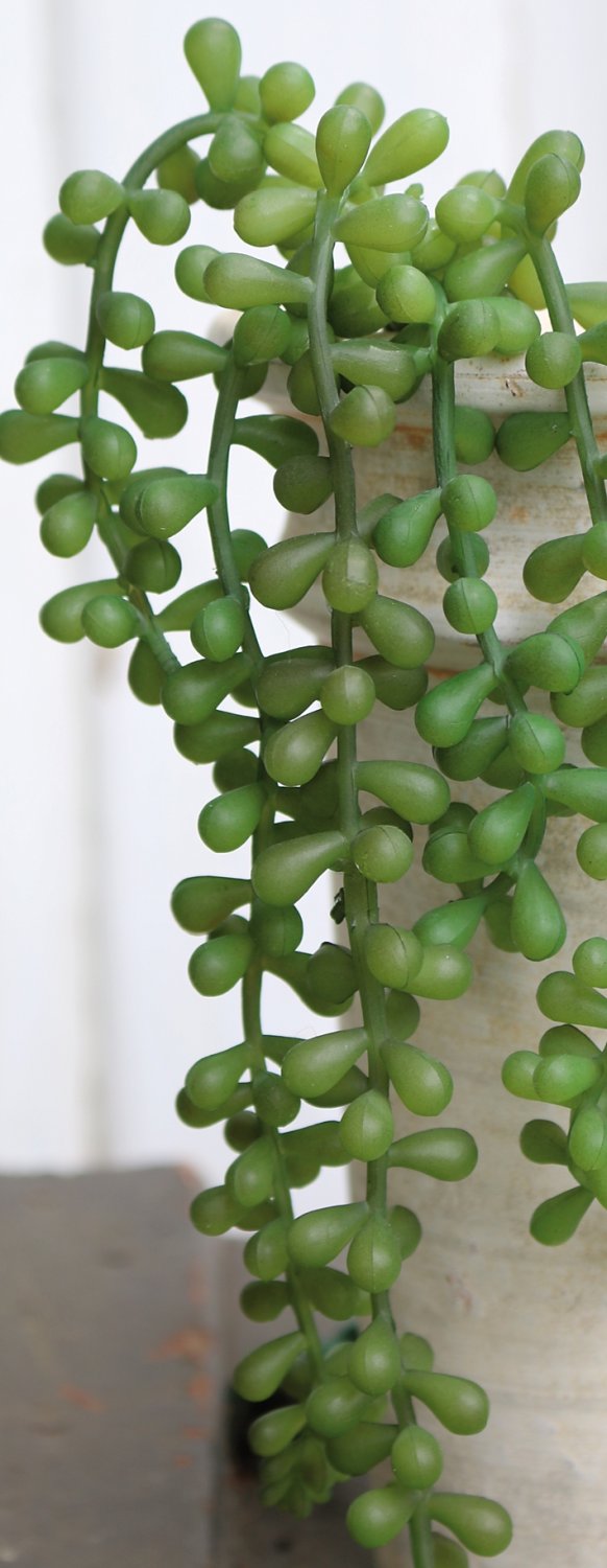 Artificial succulent, hanging, 40 cm, green