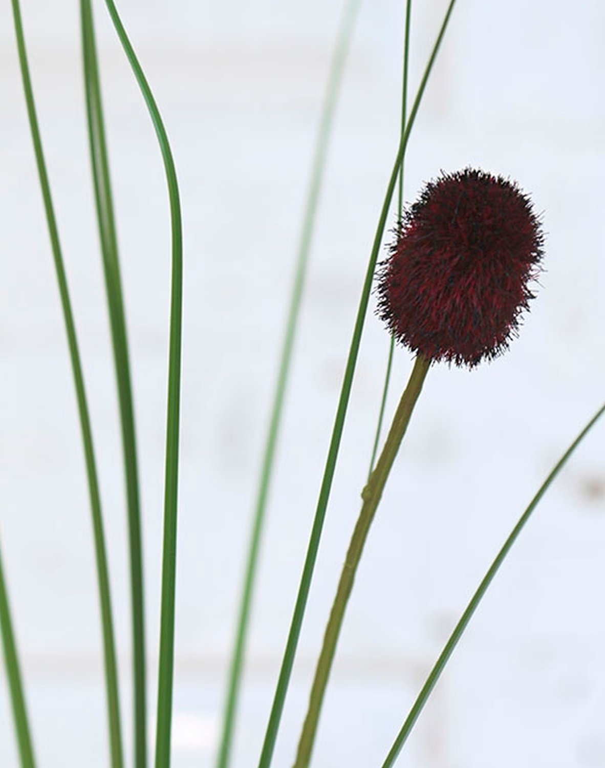 Artificial hare's-tail grass, 3-fold, 75 cm, burgundy