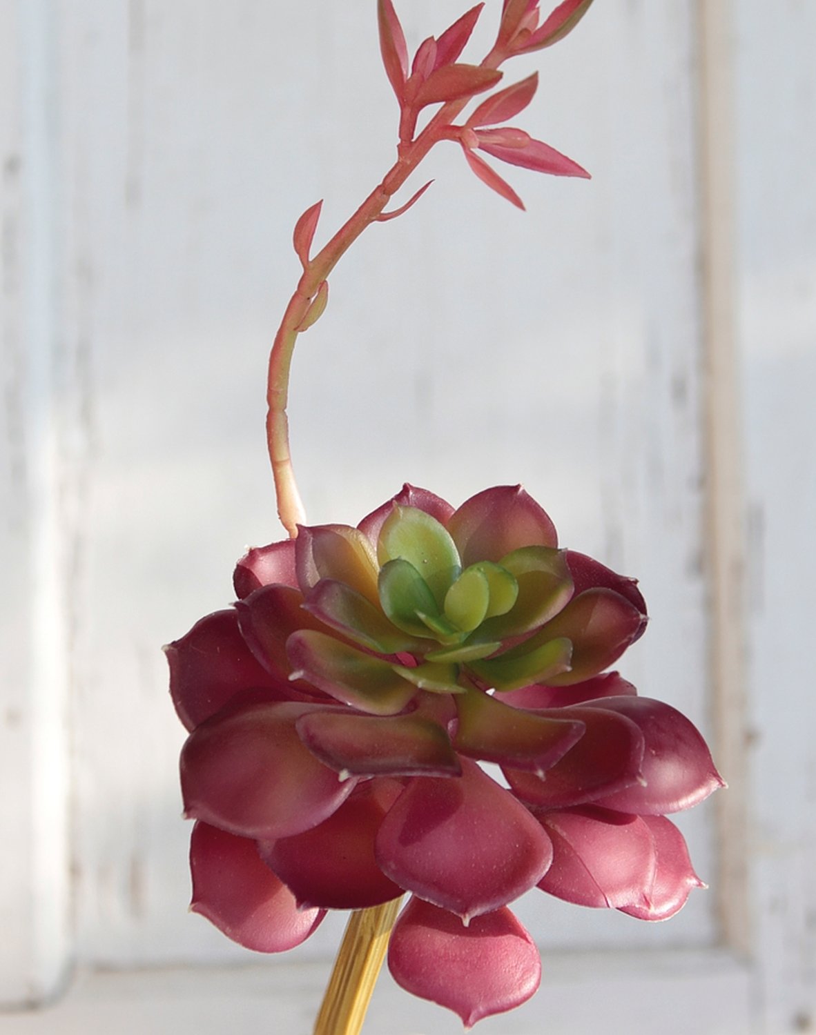 Künstliche Echeveria auf Steckstab, 15 cm, Ø 10 cm, grün-burgunderrot