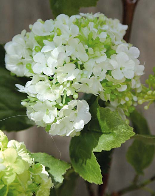 Ramo di viburnum artificiale, 77 cm, bianco-crema