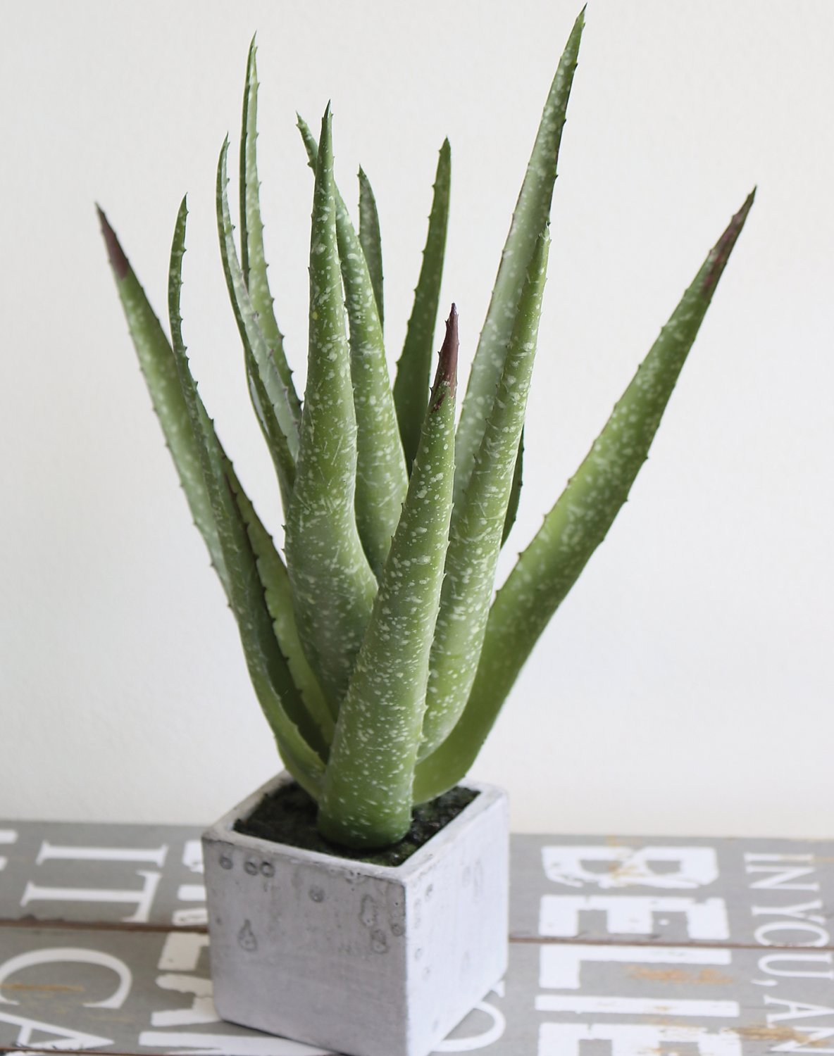 Künstliche Aloe, getopft, 35 cm, grün