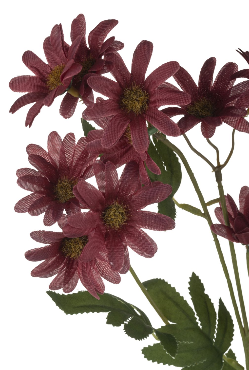 Unechter Margeritenzweig, 67 cm, antik-dunkelrot Unechter Margeritenzweig, 67 cm, antik-dunkelrot