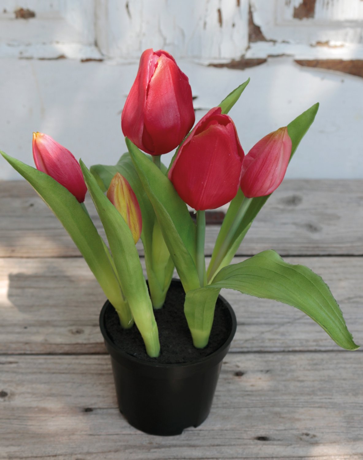 Künstliche Tulpen, getopft, 5-fach, 25 cm, Real Touch, pink