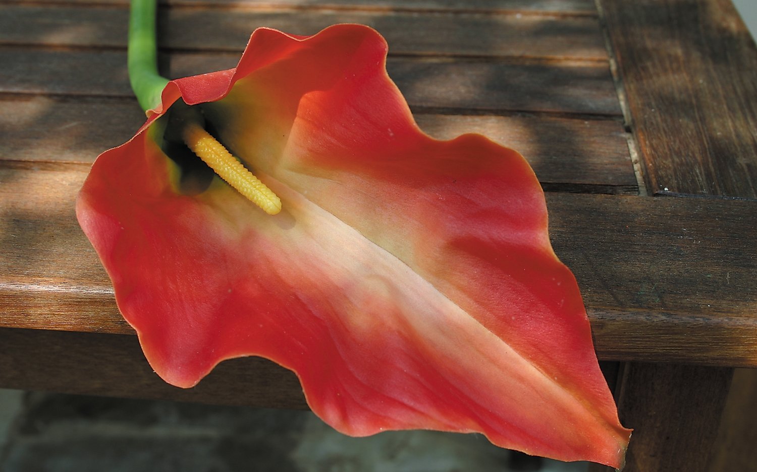 Künstliche Calla, 98 cm, Real Touch, orange