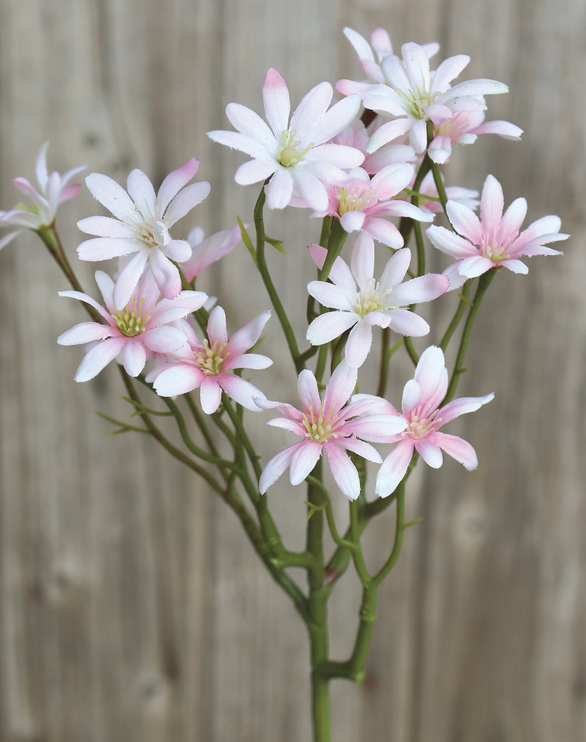 Aster de mar artificial, 45 cm, blanco-rosa Aster de mar artificial, 45 cm, blanco-rosa