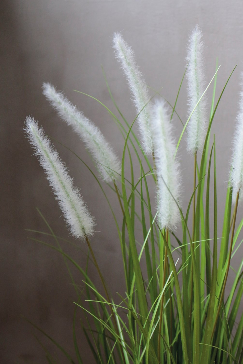 Artificial tuft of grass 'Chinese fountain grass', potted, 76 cm, green-white