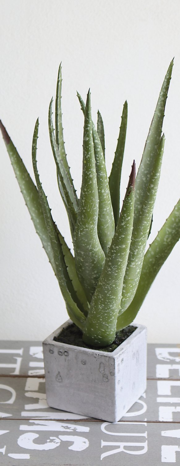 Künstliche Aloe, getopft, 35 cm, grün