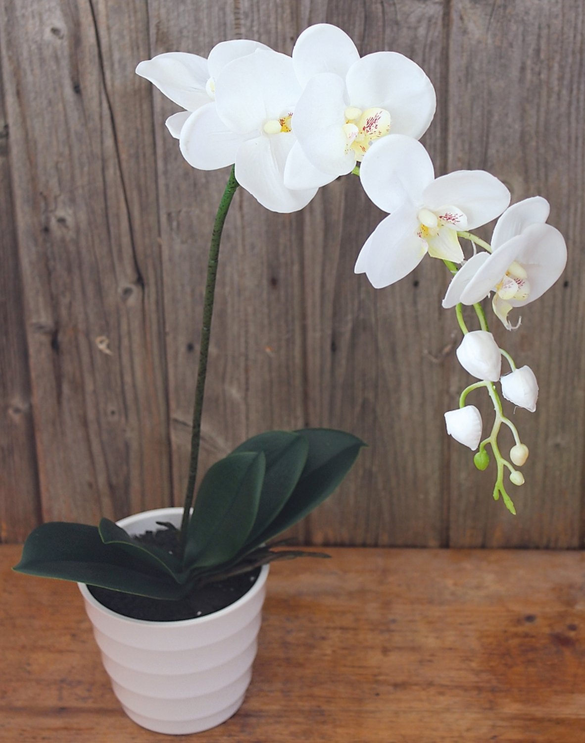 Botanik Künstliche Orchidee 60cm - Vollständig Getopft In Keramiktopf, Lebensechte Deko