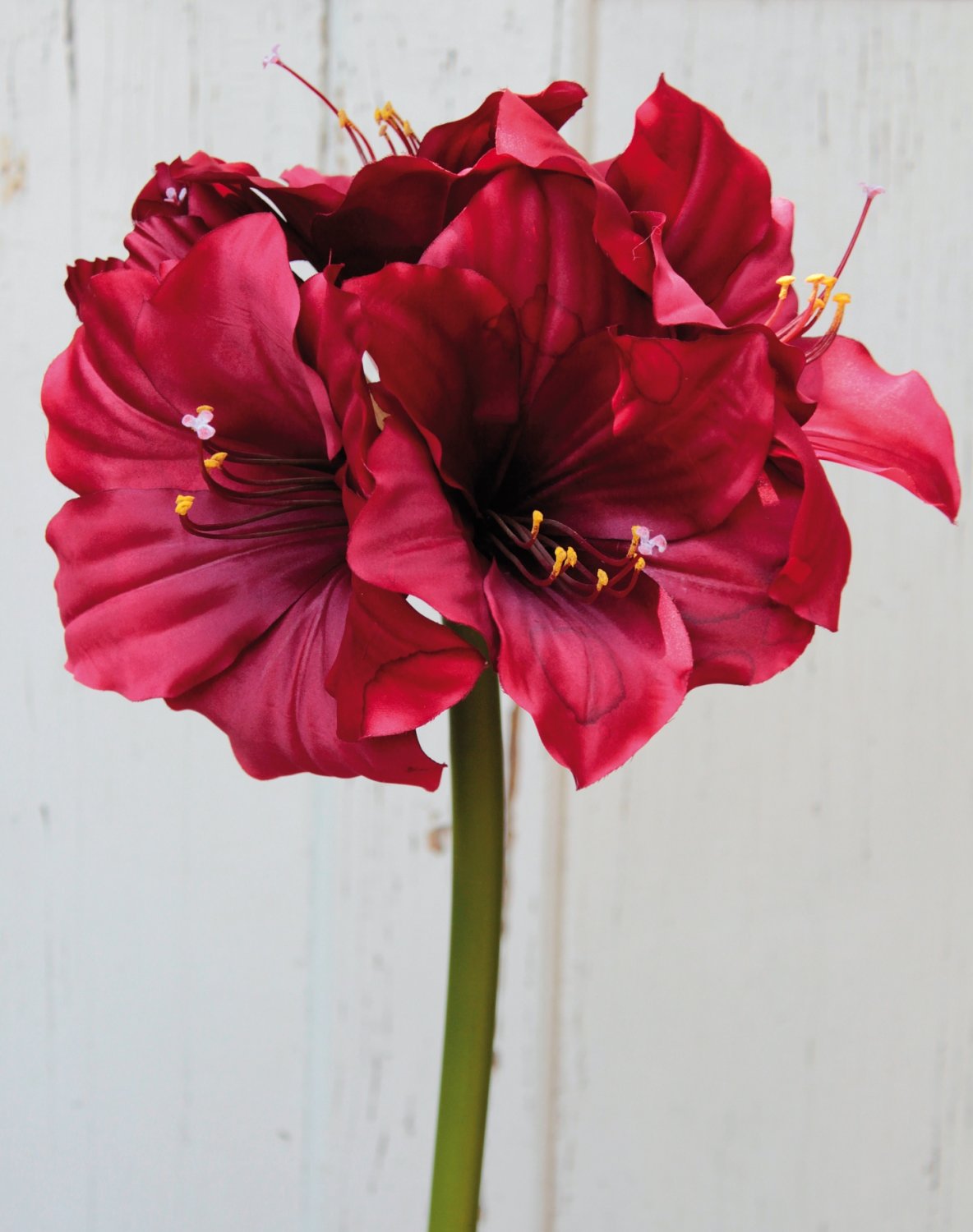 Silk amaryllis, 71 cm, red