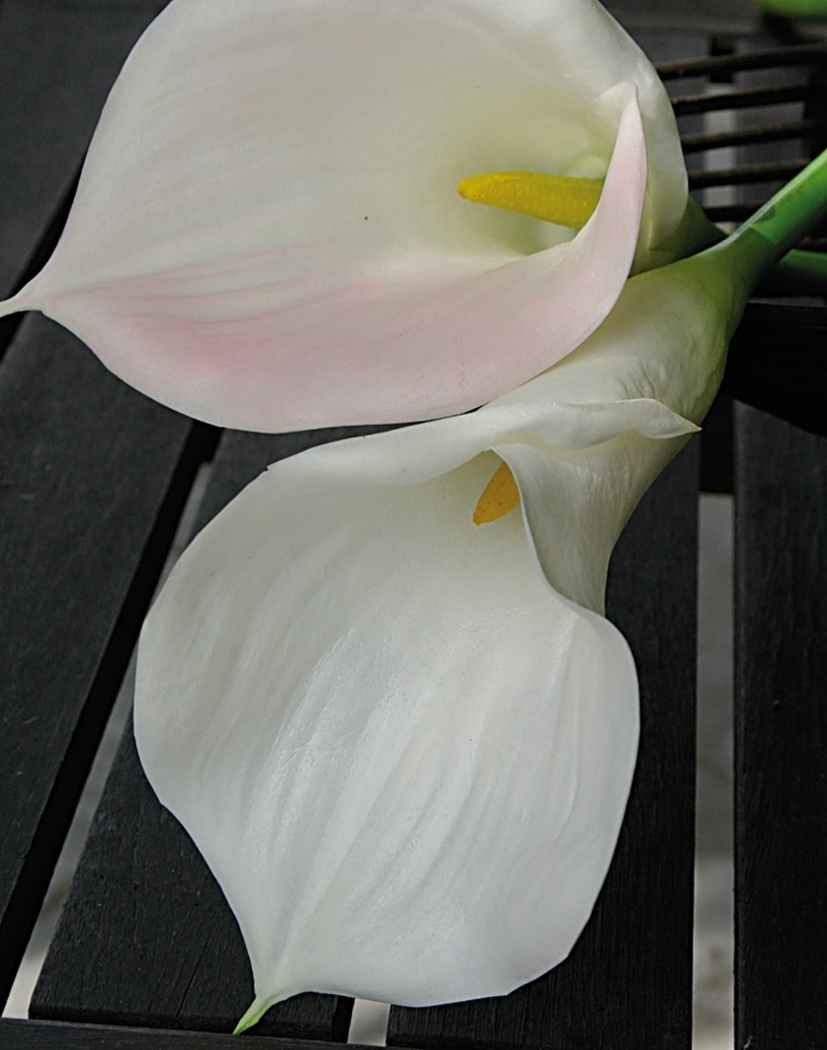 Artificial Zantedeschia, 71 cm, real touch soft, beige-white