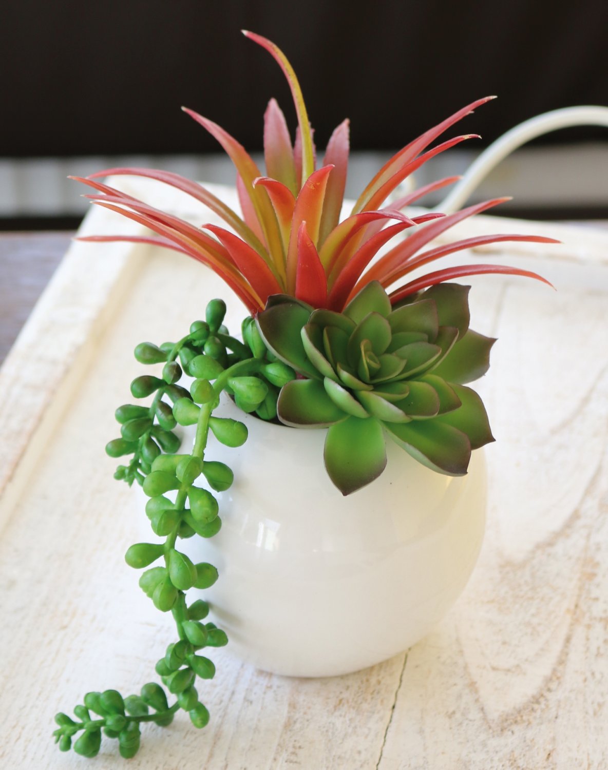 Artificial succulents-mix in ceramic pot, 20 cm, green-burgundy