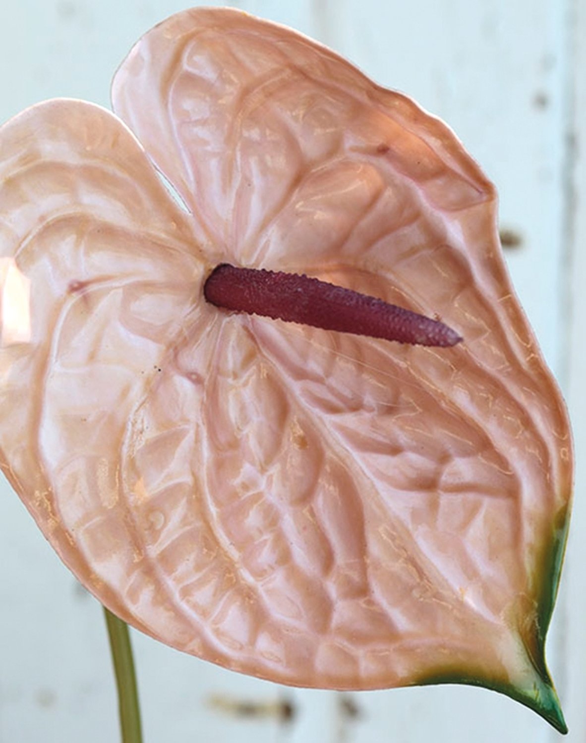 Künstliche Anthurium, 74 cm, rosa