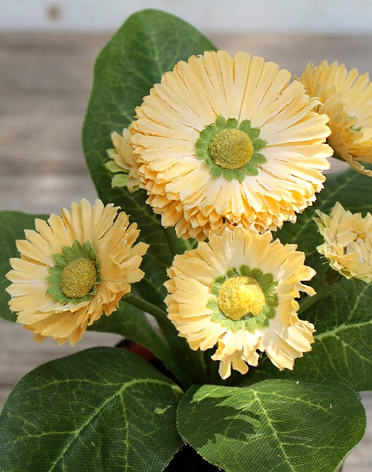 Künstliche Bellis, getopft, 6-fach, 15 cm, gelb