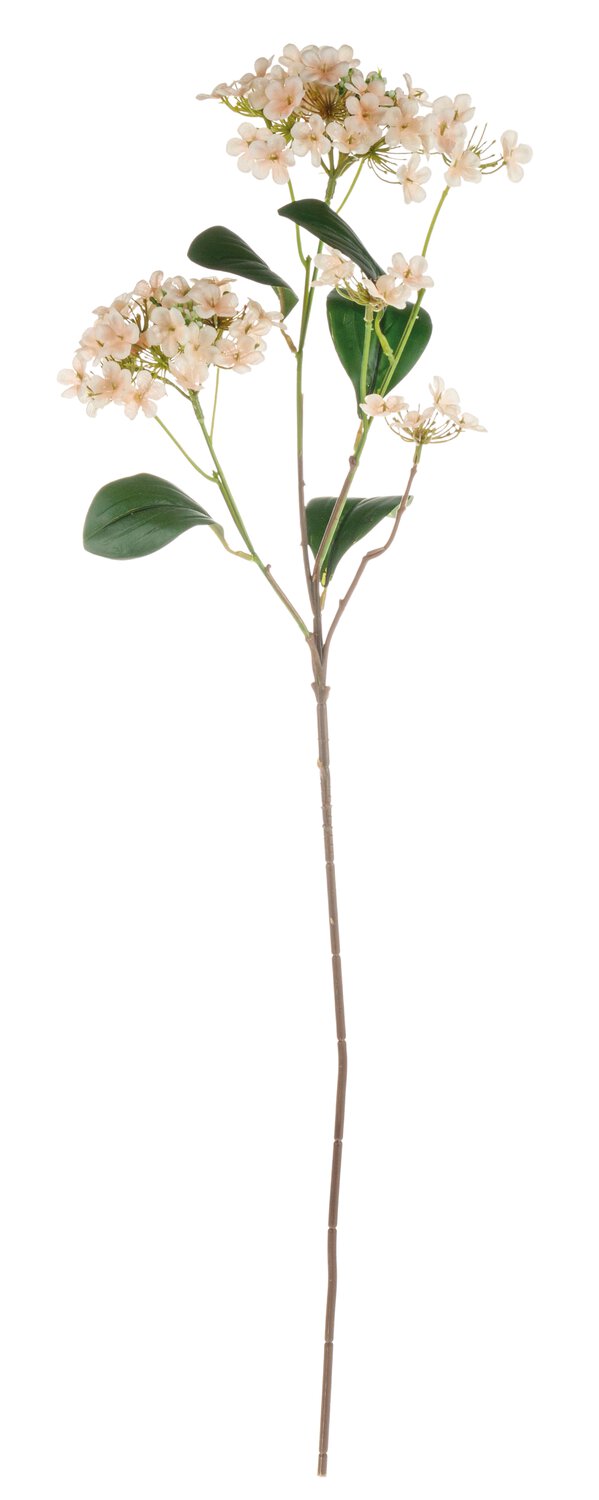 Fake virburnum, 69 cm, apricot