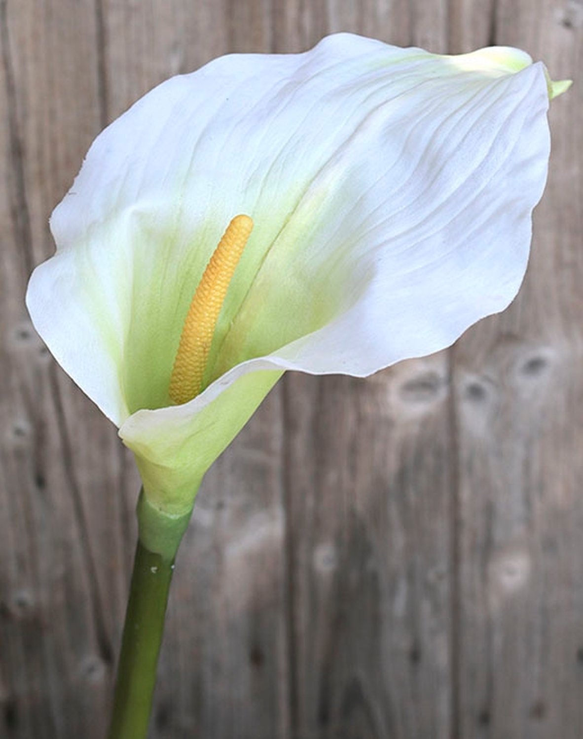 Künstliche Calla, 98 cm, Real Touch, grün-weiß