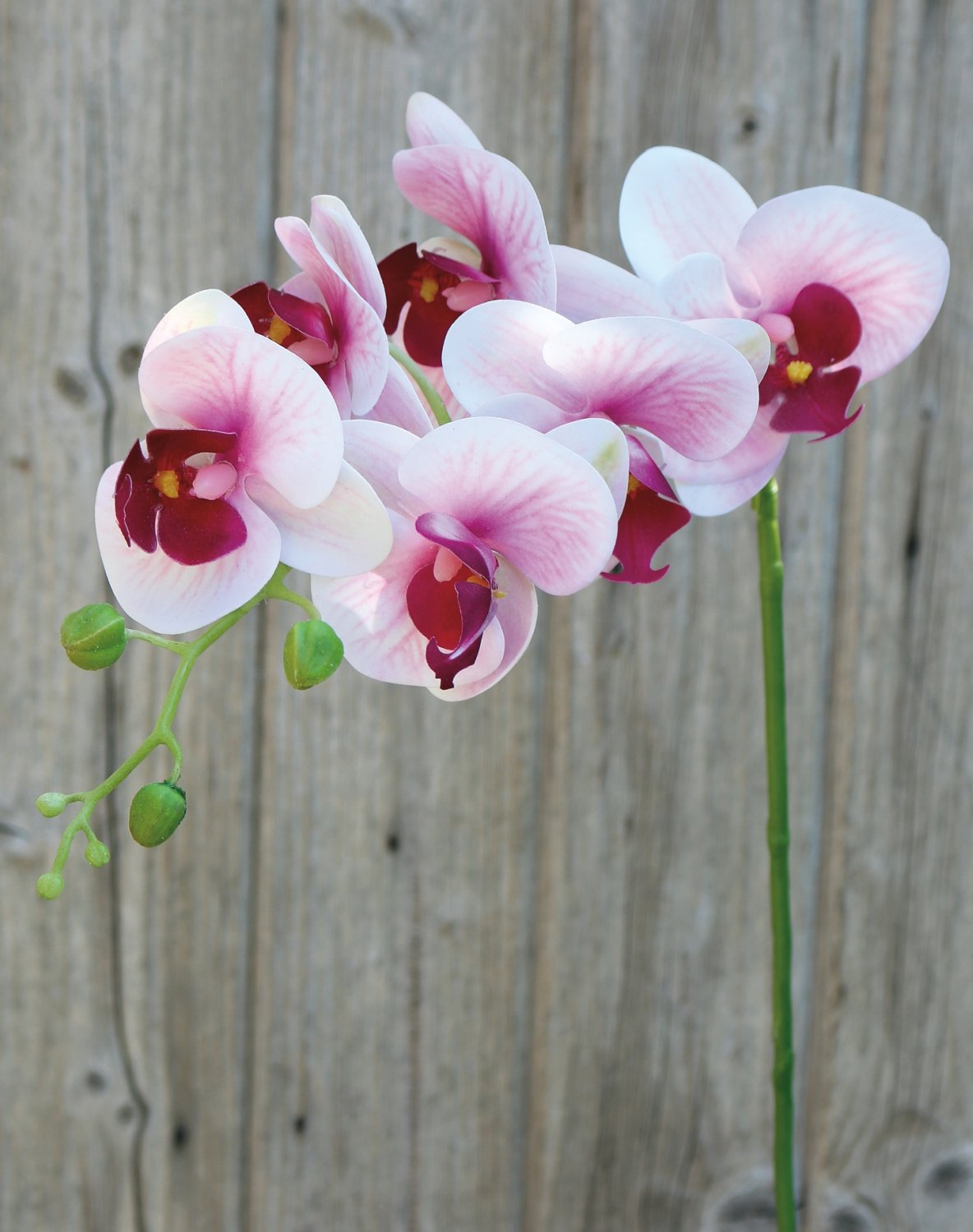 Künstliche Orchidee Phalaenopsis, 80 cm, Real Touch Soft, rosa