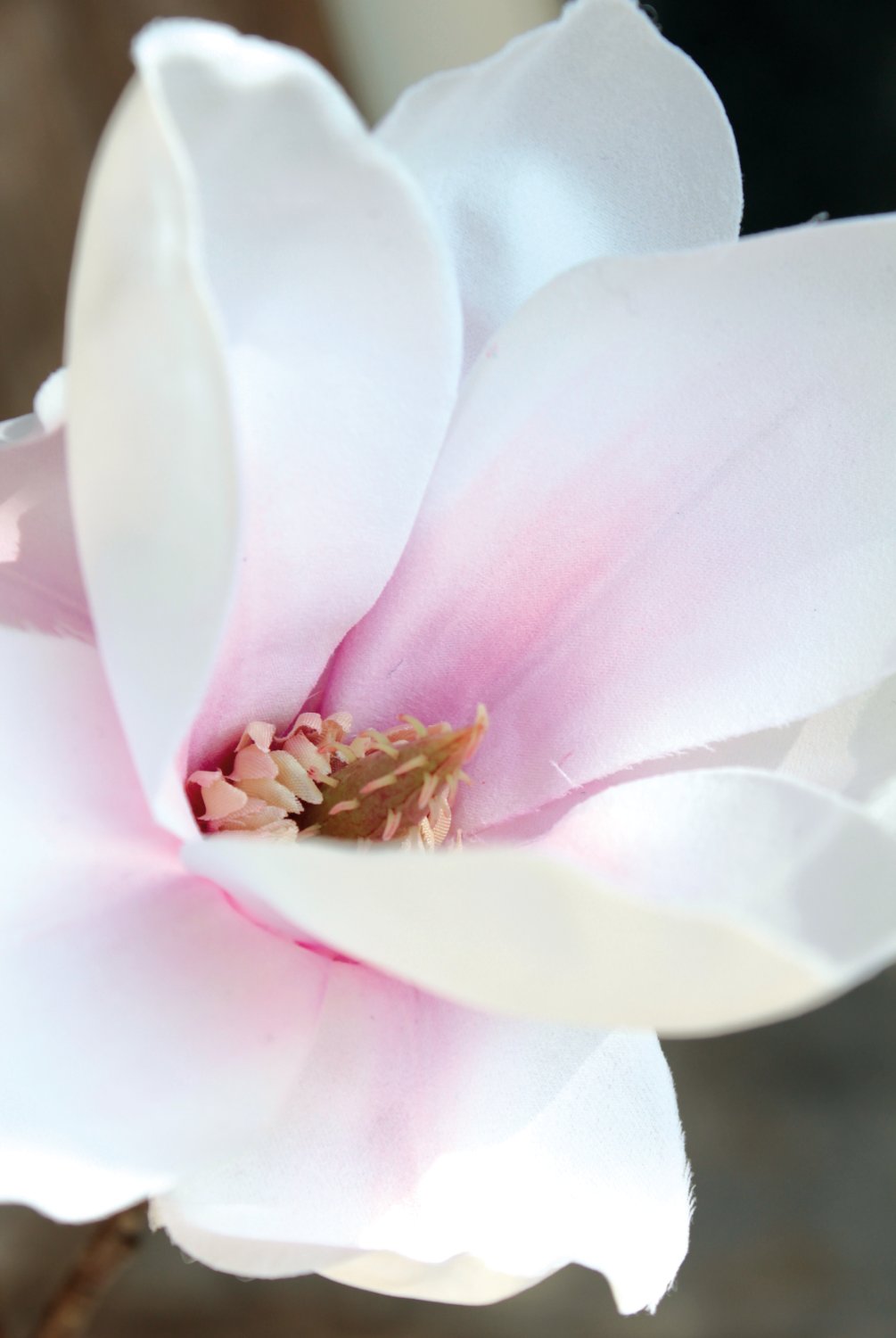 Künstlicher Magnolien Blütenzweig, 129 cm, weiß-rosa
