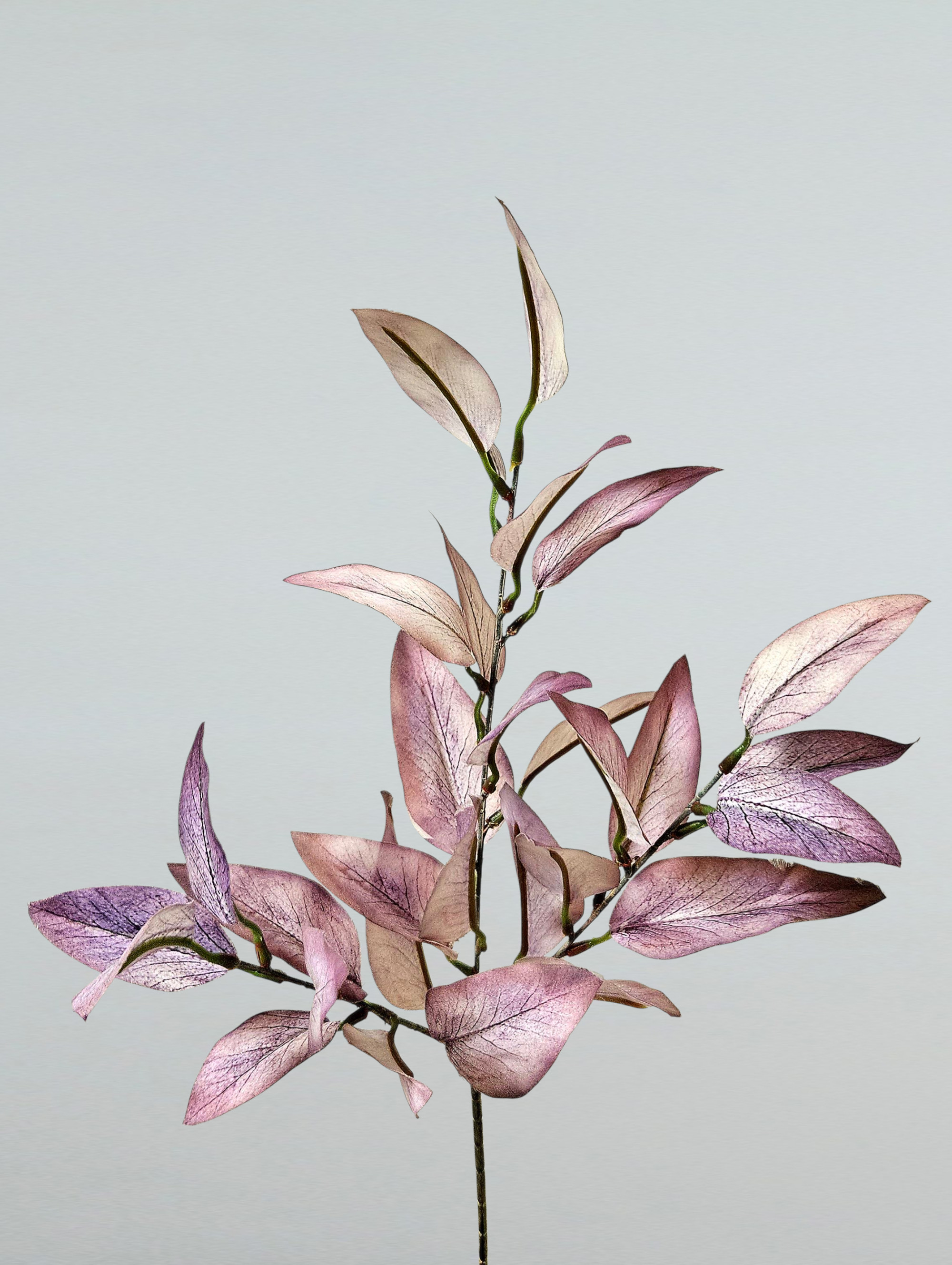 Fake Eukalyptuszweig, 67 cm, Soft Feel, grün-rosa