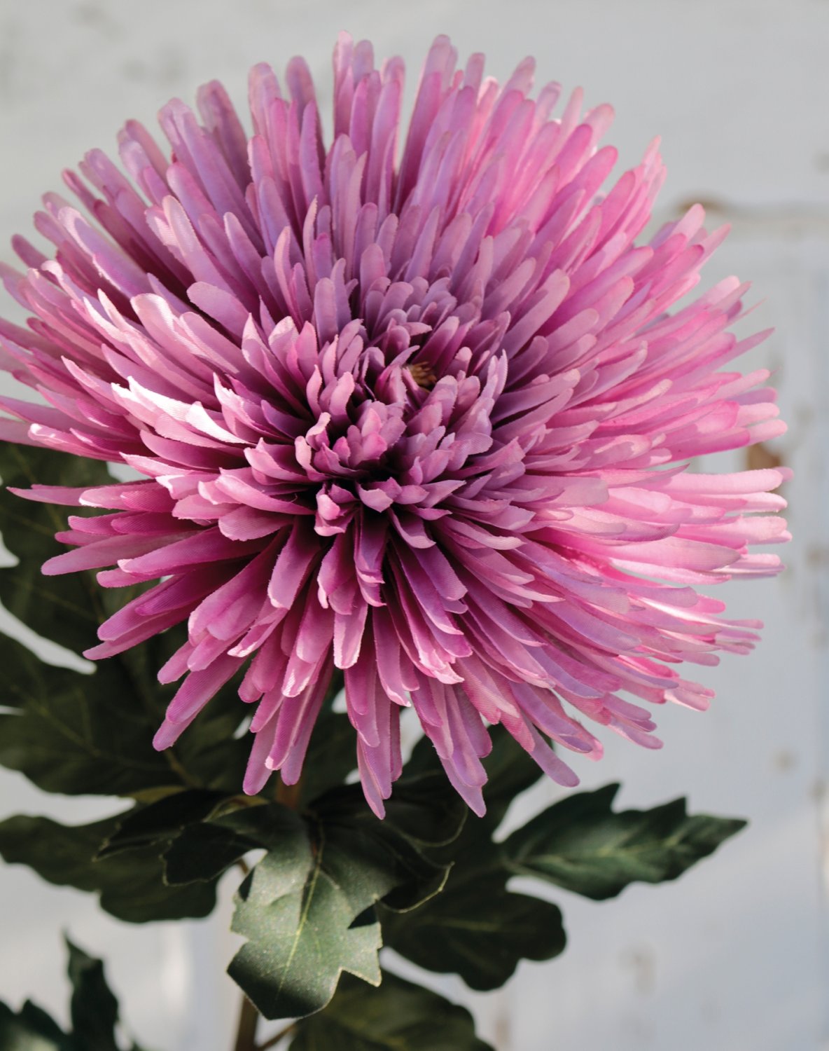 Künstliche Chrysantheme, 88 cm, hellviolett-dunkelviolett