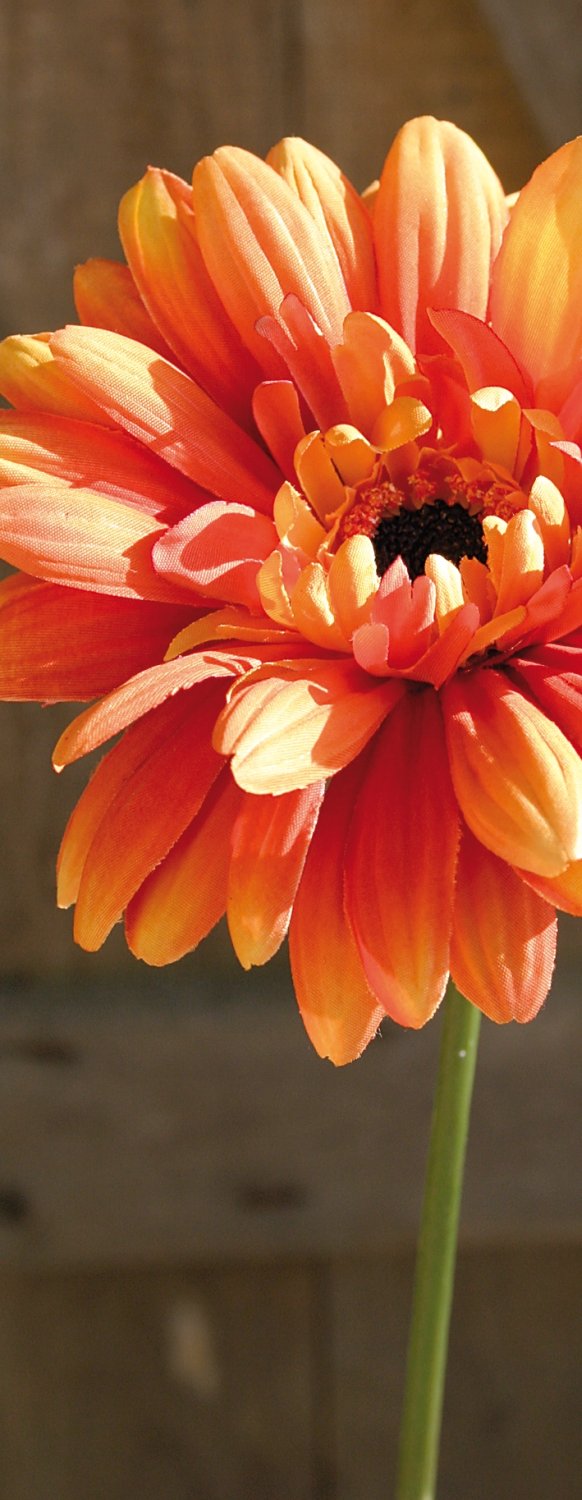 Künstliche Gerbera mit beflocktem Stiel, 55 cm, orange