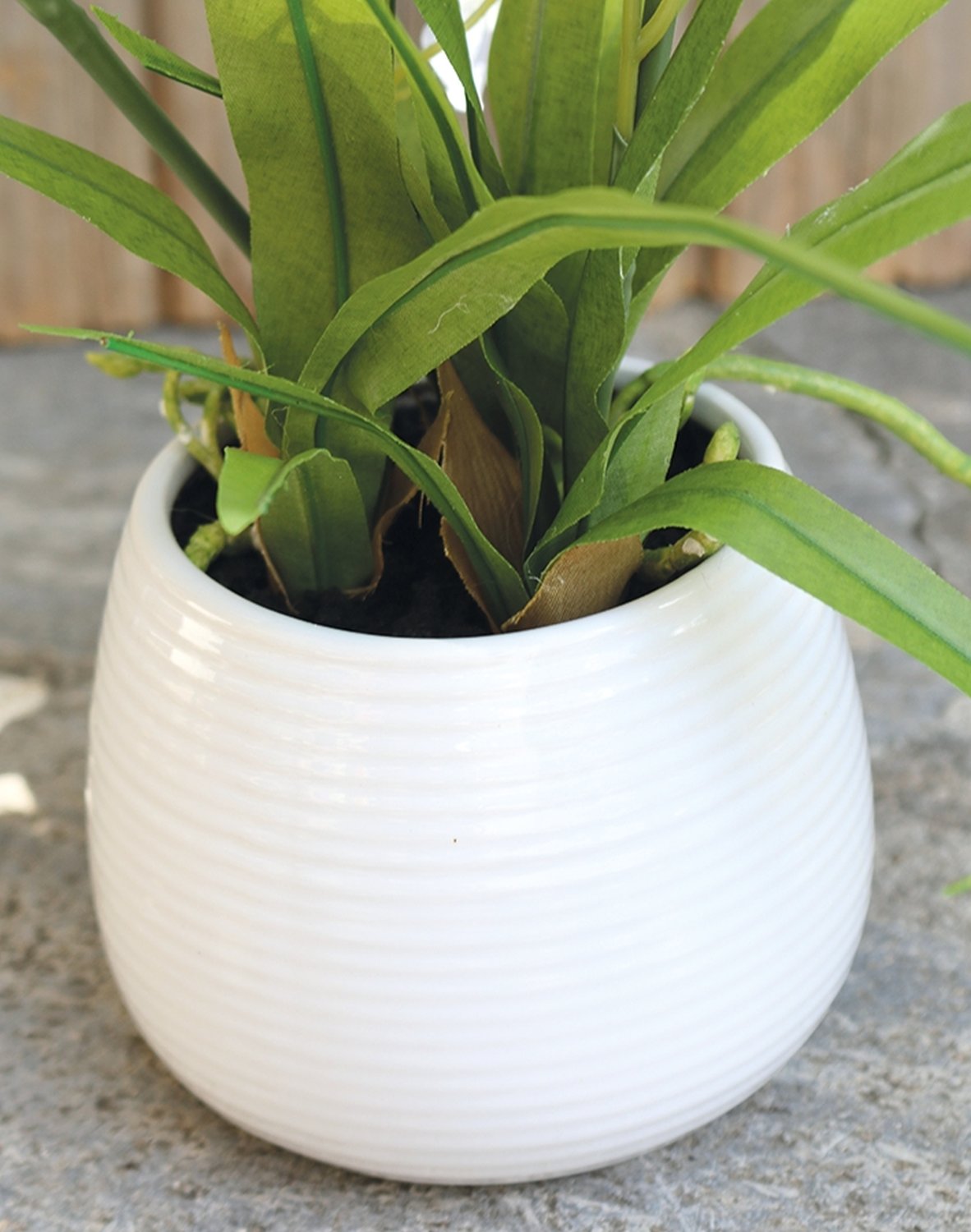 Orchidea Oncidium artificiale, in vaso, 50 cm, bianco-crema