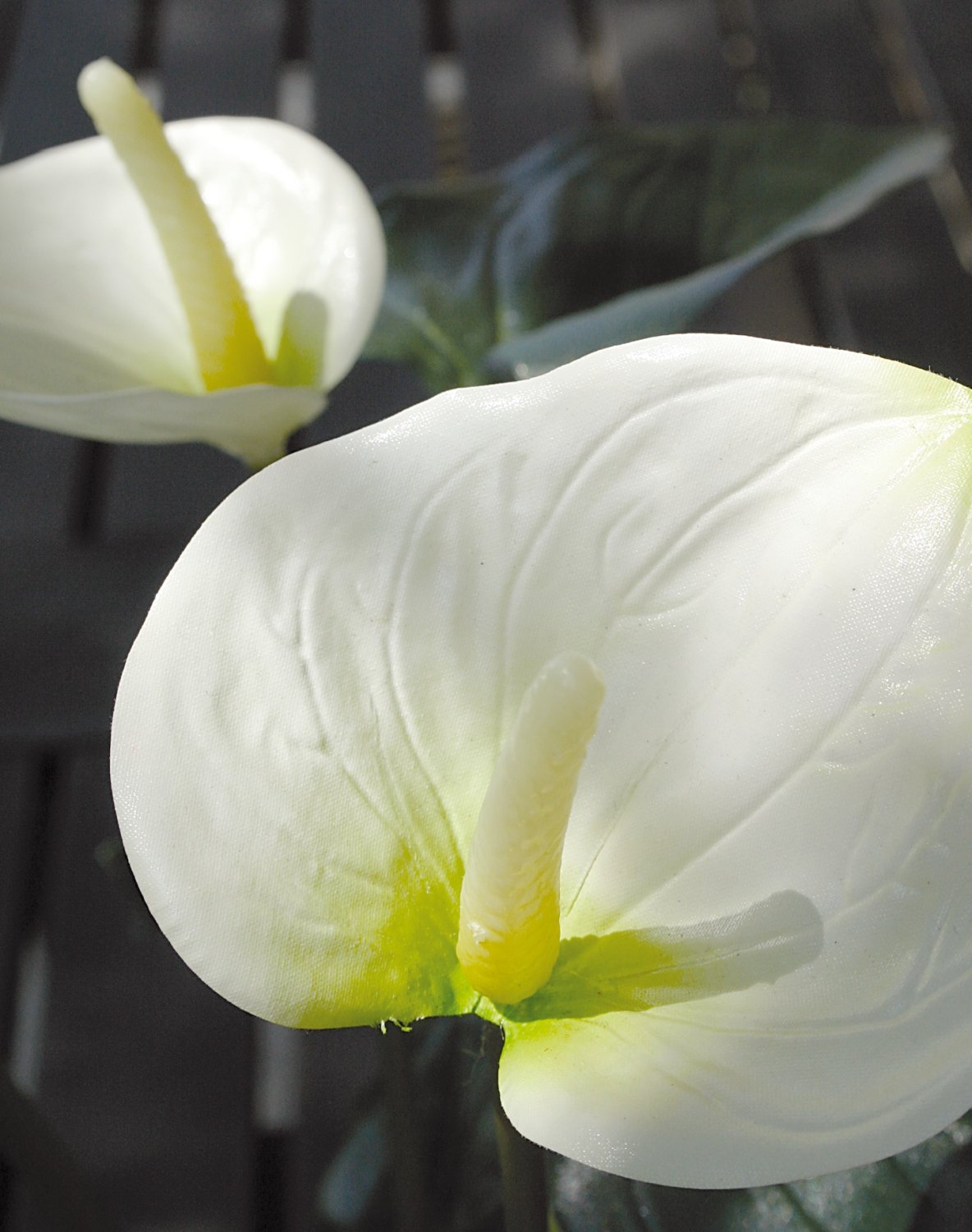 Künstliche Anthurium, getopft, 39 cm, weiß