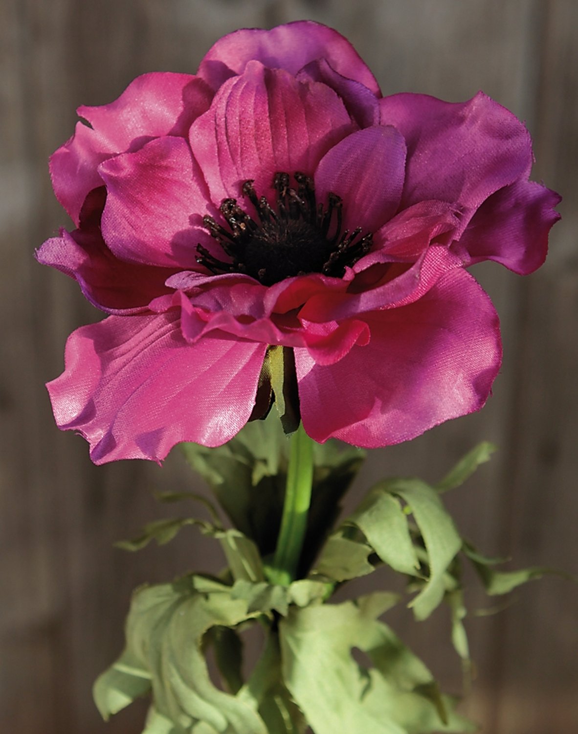 Künstliche Anemone, 35 cm, cerise