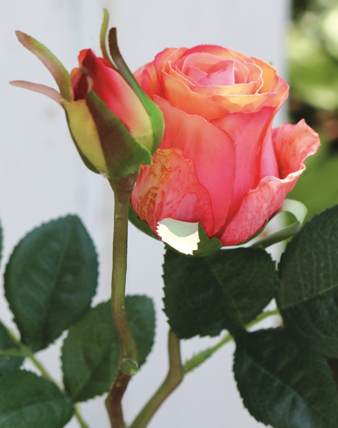 Silk rose, 1 flower, 1 bud, 45 cm, apricot