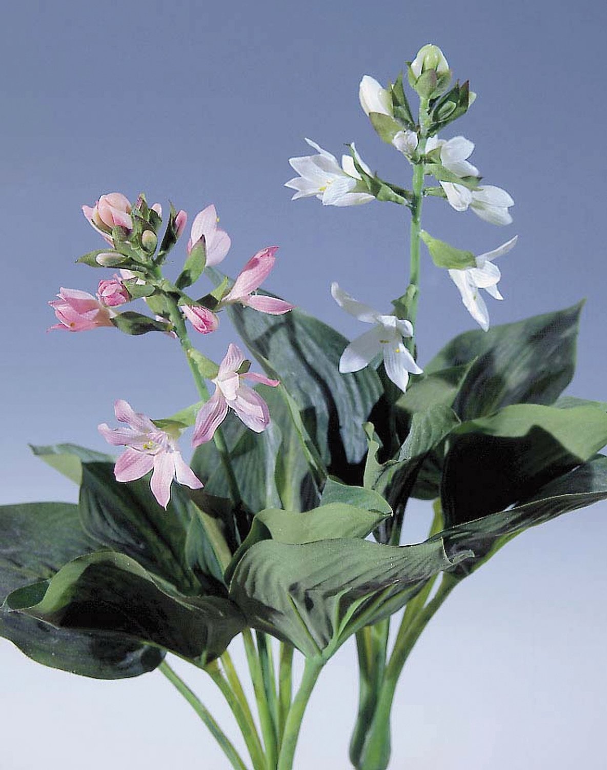 Künstliche Hosta, 51 cm, hellrosa