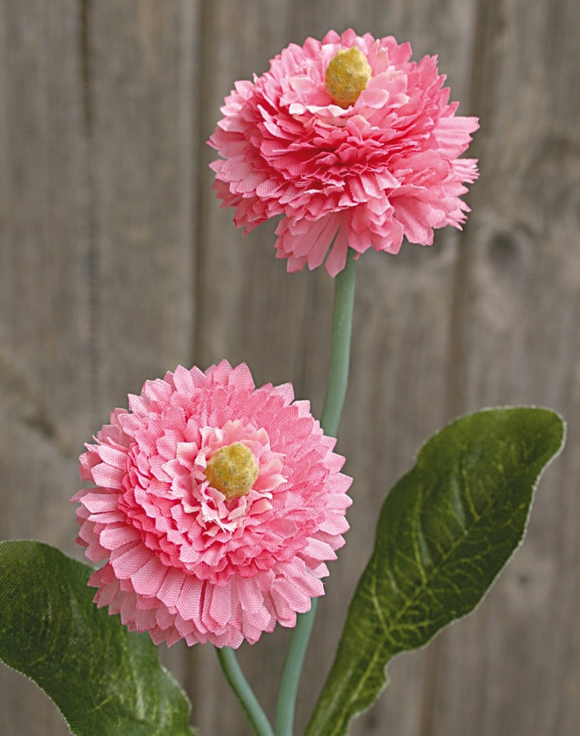 Künstliche Bellis, 2-fach, 26 cm, hellrosa-dunkelrosa