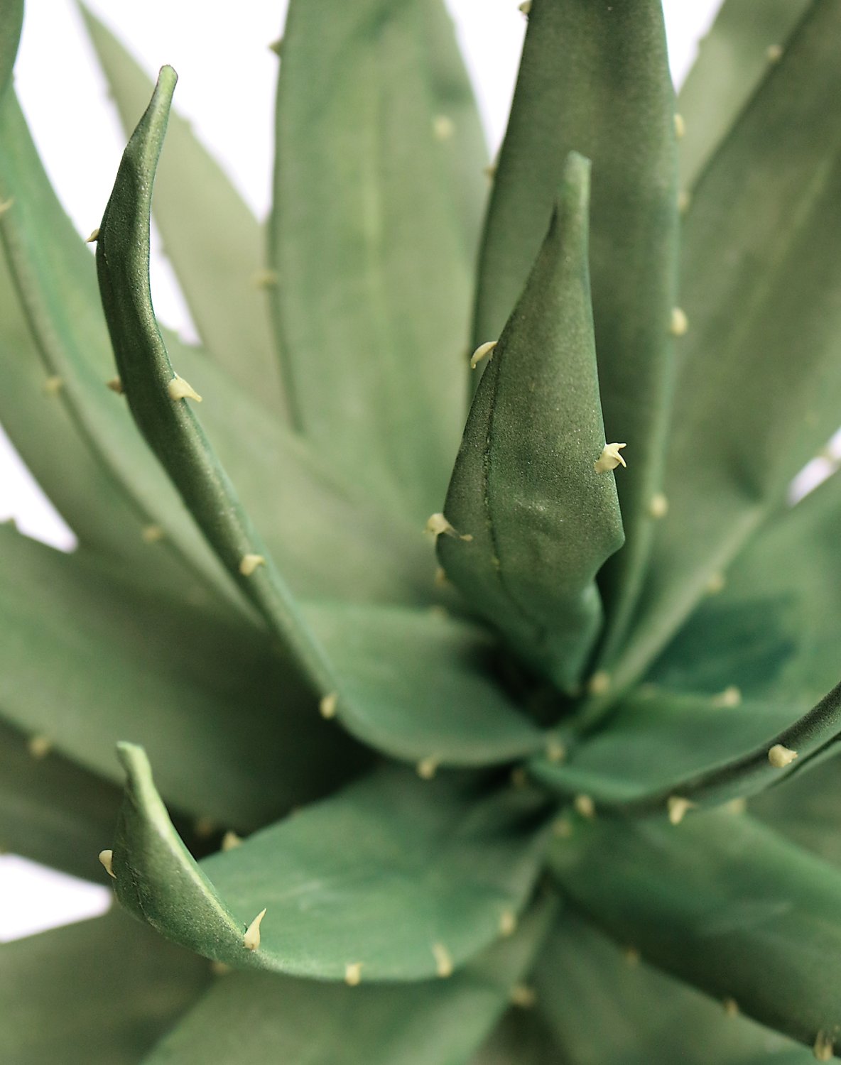 Fiore artificiale Soft 'Agave', 100 cm, verde