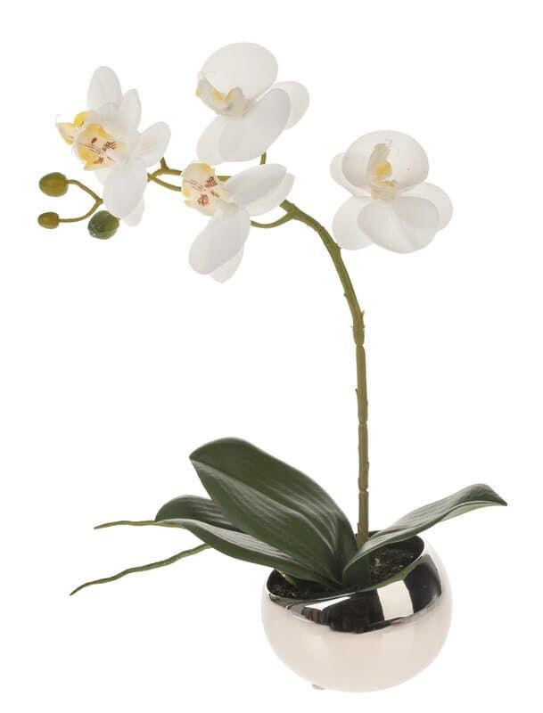 Künstliche Orchidee Phalaenopsis, getopft, 35 cm, Real Touch Soft, creme-weiß