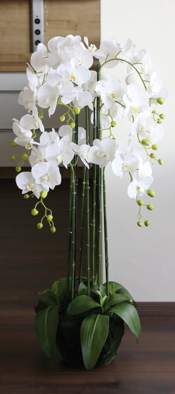 Künstliche Orchidee Phalaenopsis in 'Erde', 9-fach, 120 cm, Real Touch, weiß