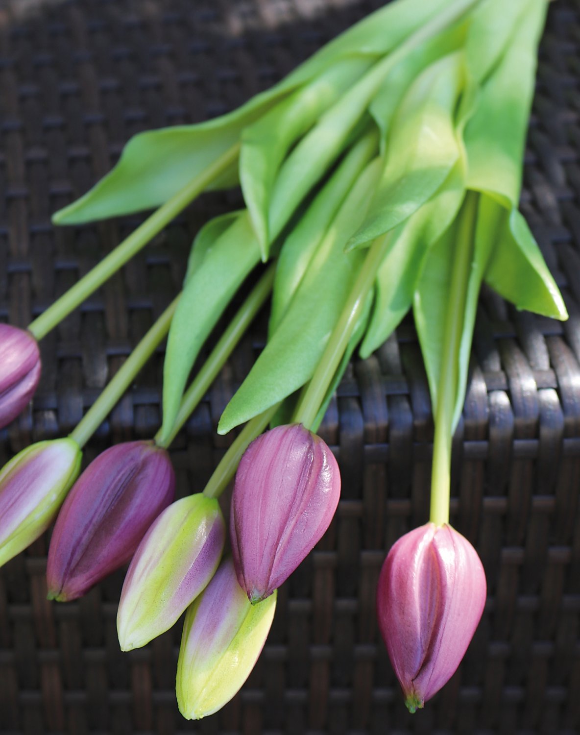 Künstlicher Tulpenbund, 7-fach, 44 cm, Real Touch, violett-grün