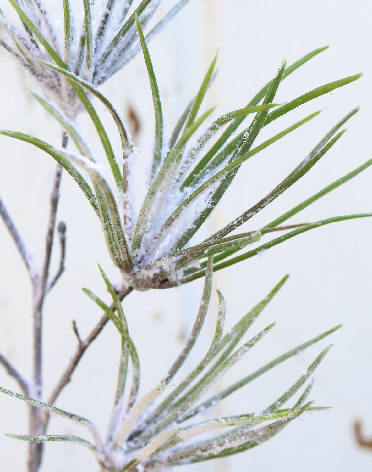 Künstlicher Pinienzweig mit Schnee, 80 cm, grün-weiß