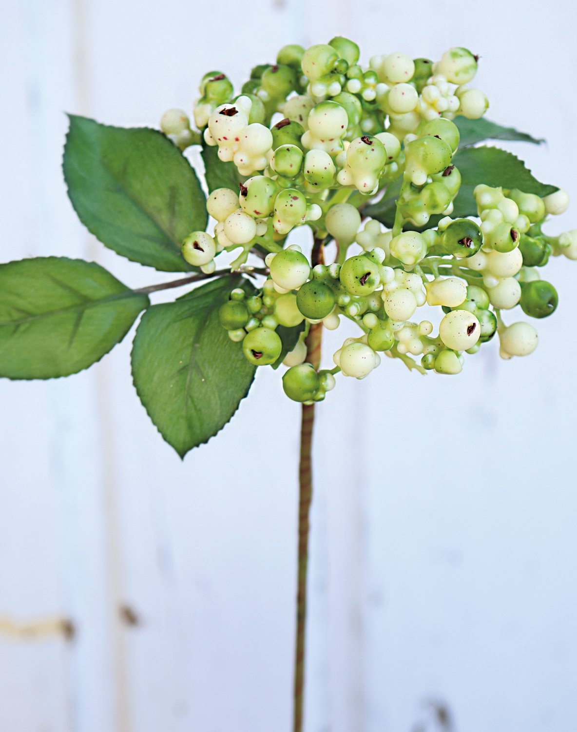 Bacche artificiali su gambo, 30 cm, crema-verde