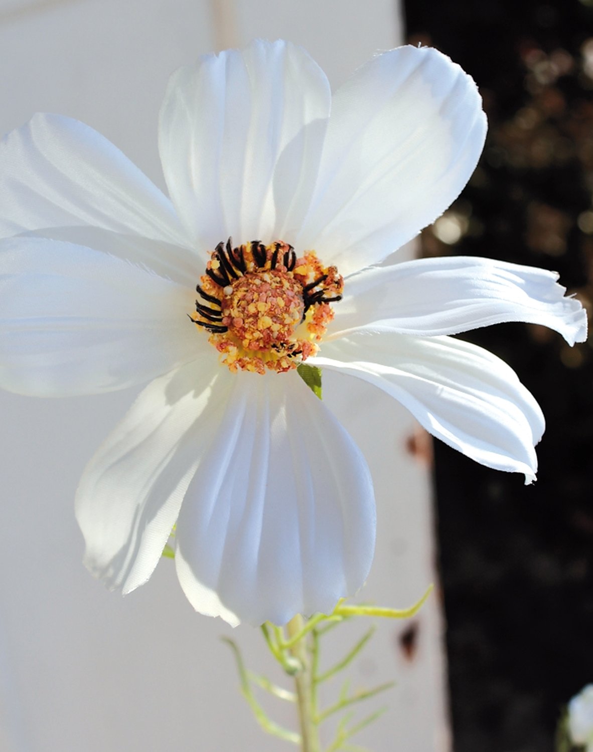 Künstliche Cosmea, 95 cm, creme-weiß