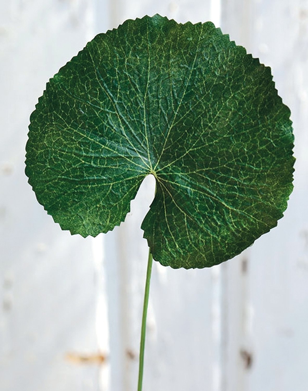 Plastic geranium leaf, 40 cm, green